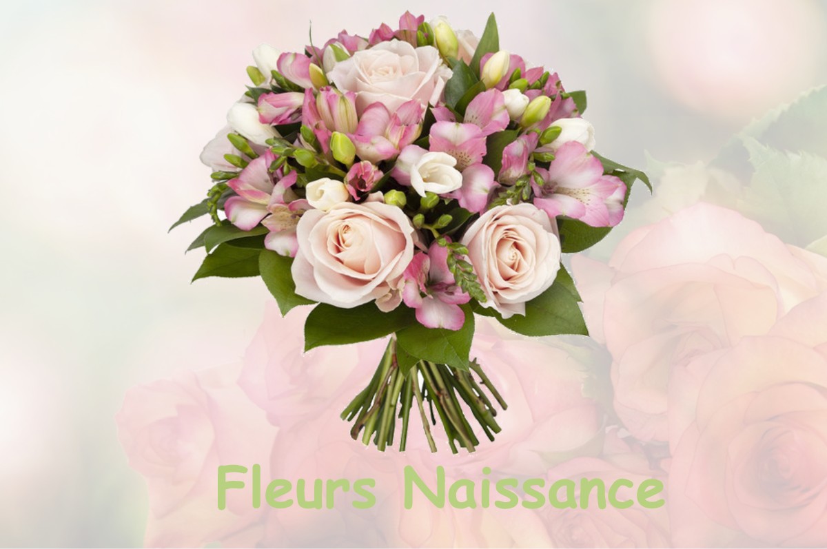 fleurs naissance MAUREVILLE