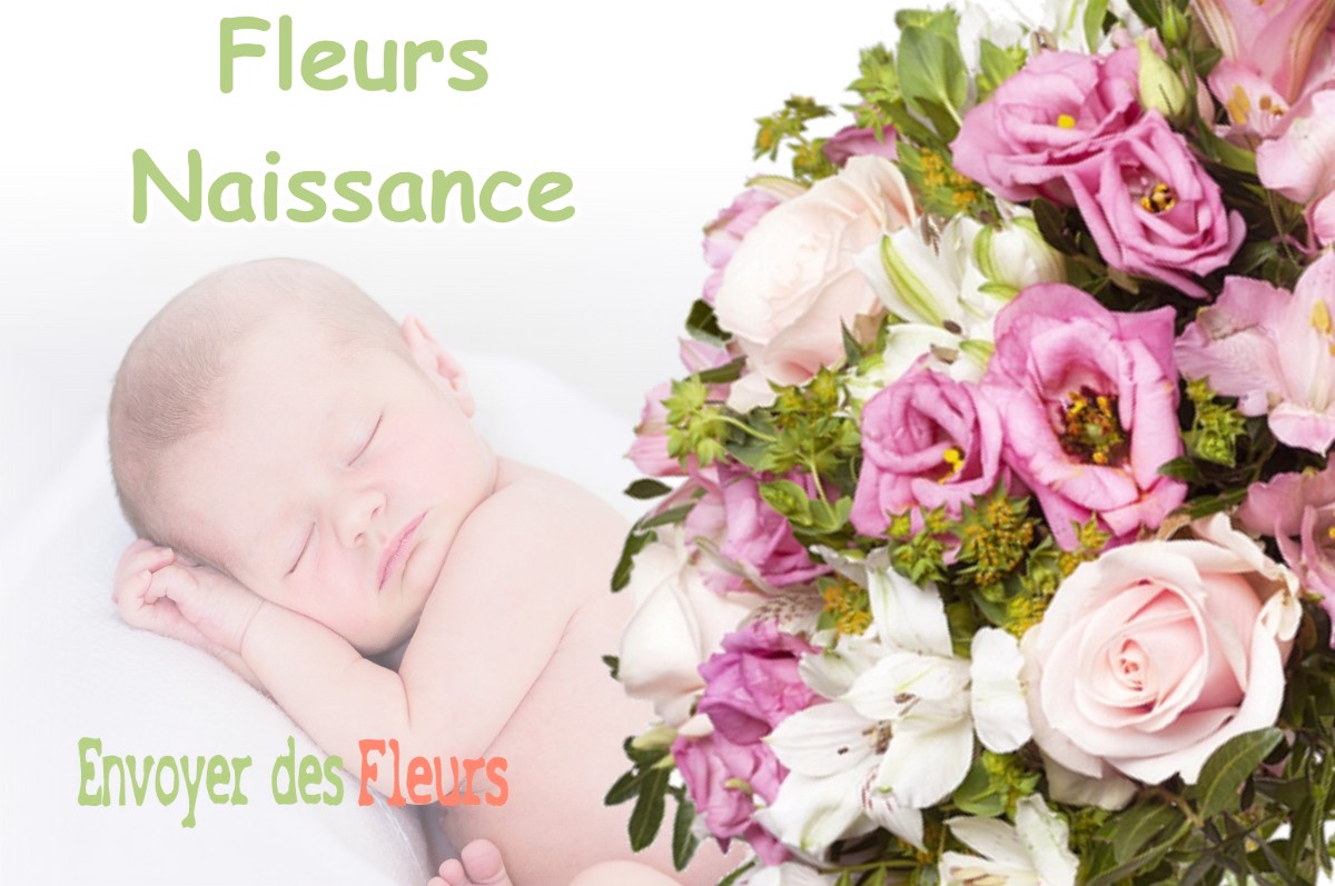 lIVRAISON FLEURS NAISSANCE à MAUREVILLE